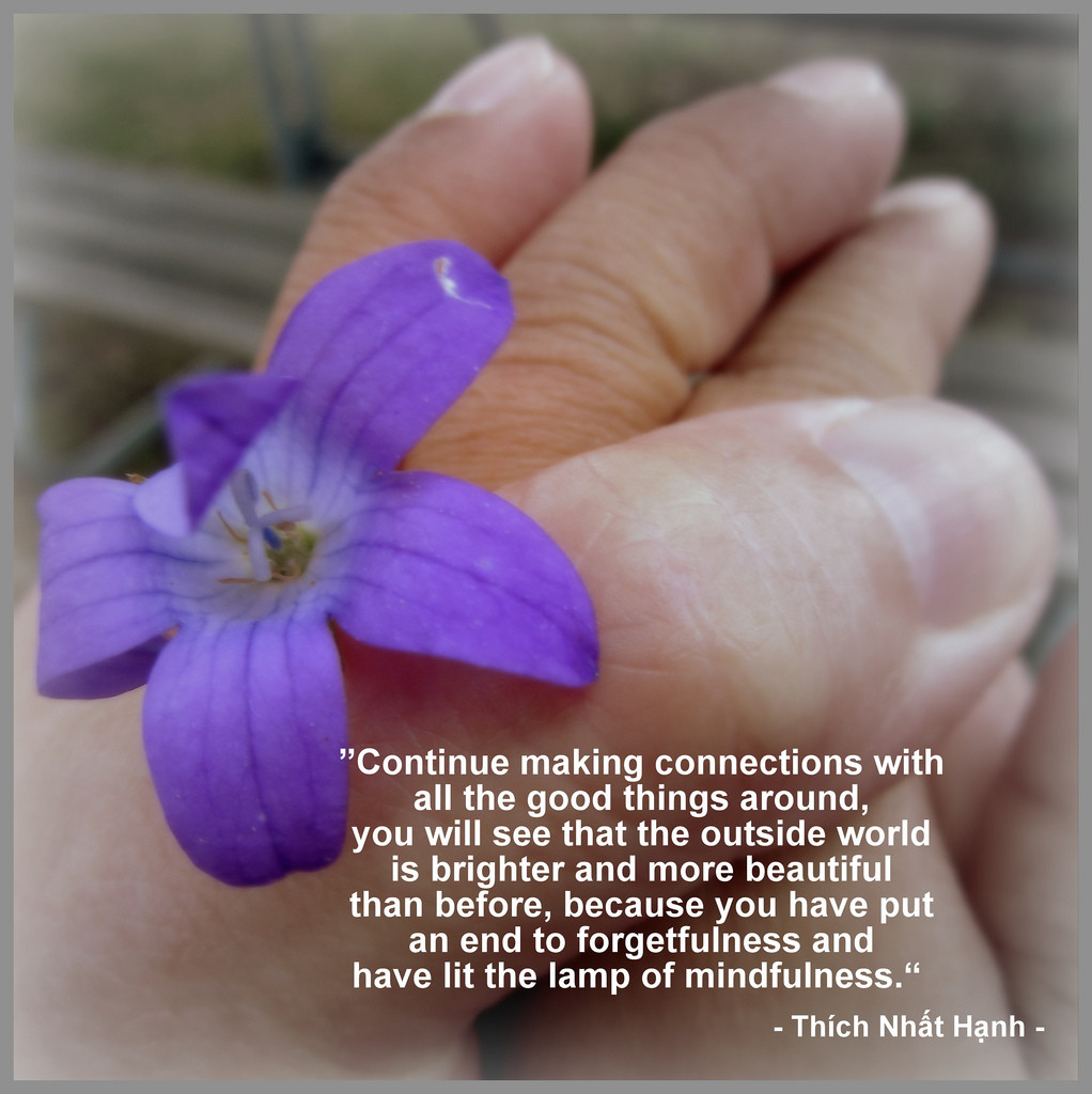 Thict Nhat Hanh Quote